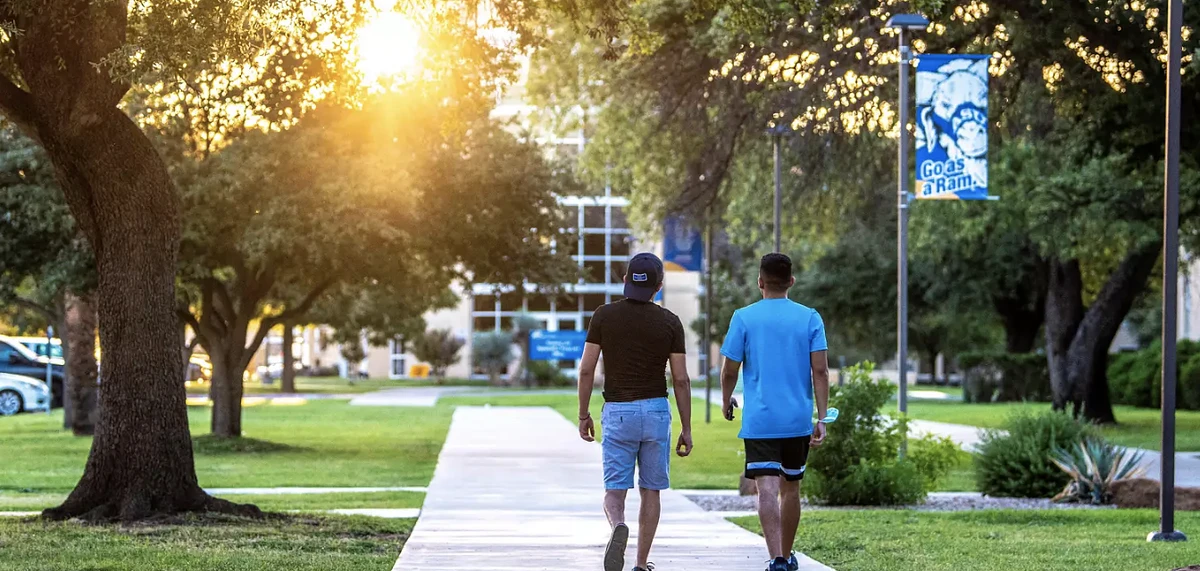 People walking on a sun covered and grassy campus